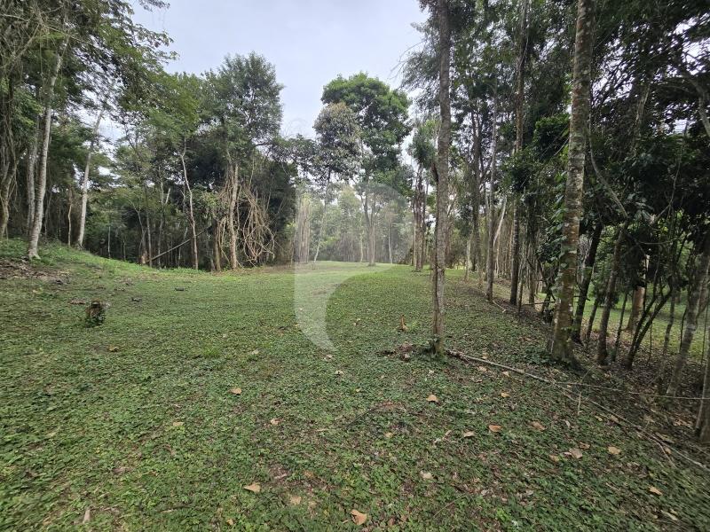 Terreno Residencial à venda em Secretário, Petrópolis - RJ - Foto 21