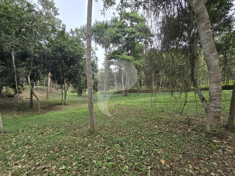 Terreno Residencial à venda em Secretário, Petrópolis - RJ - Foto 22