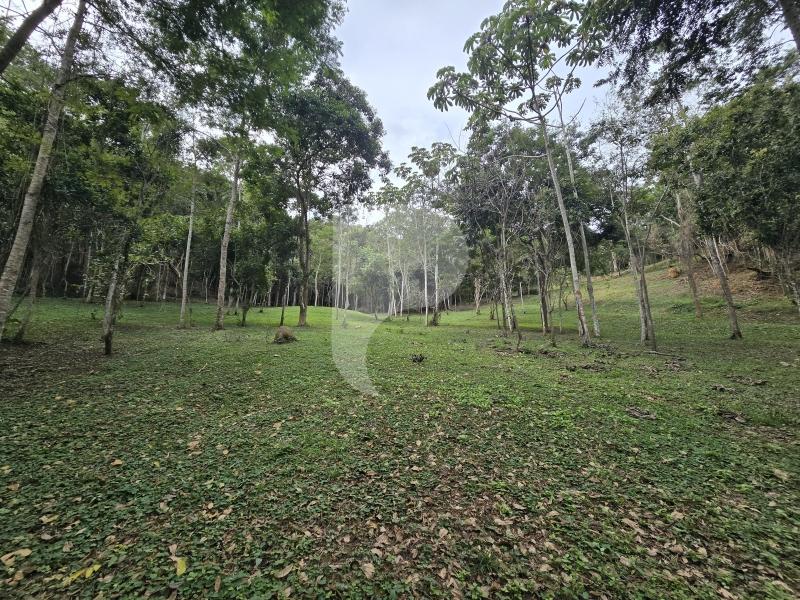 Terreno Residencial à venda em Secretário, Petrópolis - RJ - Foto 23