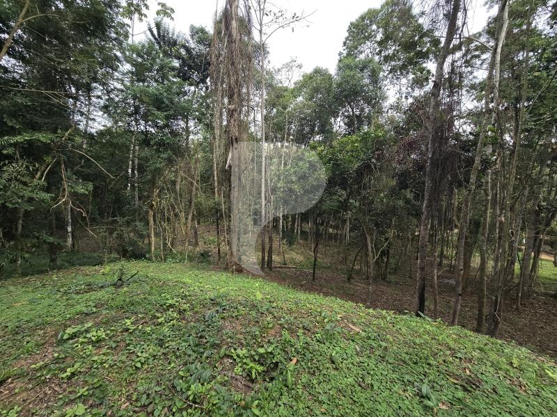 Terreno Residencial à venda em Secretário, Petrópolis - RJ - Foto 24