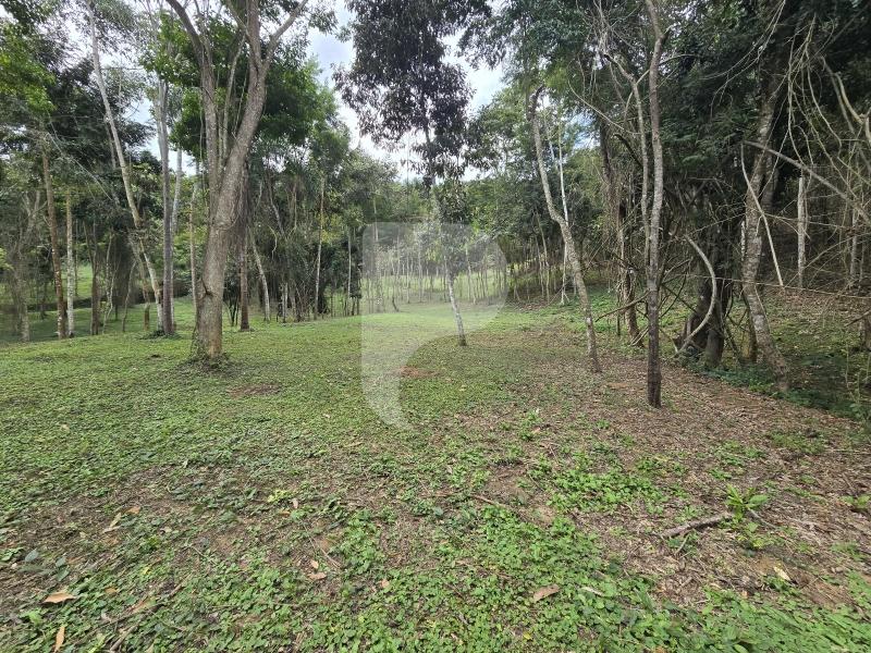 Terreno Residencial à venda em Secretário, Petrópolis - RJ - Foto 25