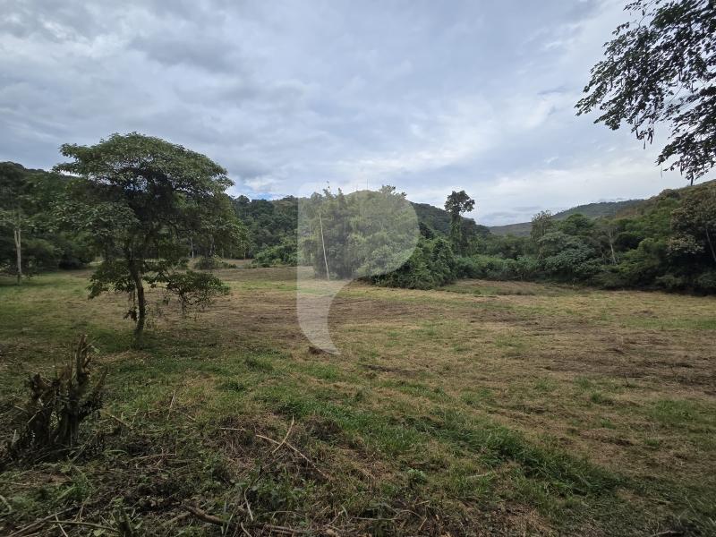 Terreno Residencial à venda em Secretário, Petrópolis - RJ - Foto 6