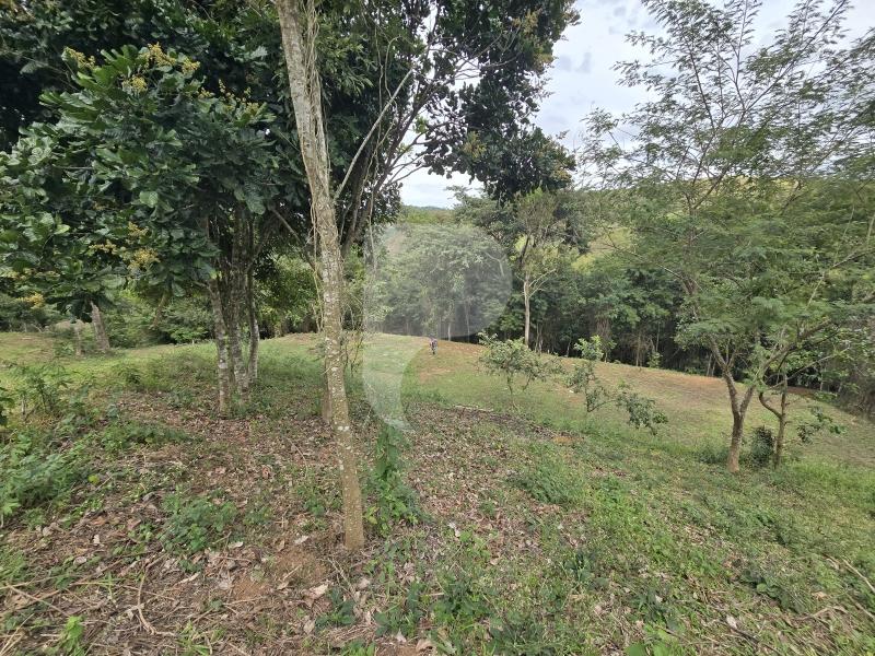 Terreno Residencial à venda em Secretário, Petrópolis - RJ