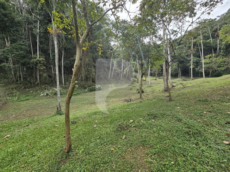 Terreno Residencial à venda em Secretário, Petrópolis - RJ