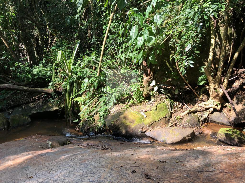 Terreno Residencial à venda em Itaipava, Petrópolis - RJ - Foto 12