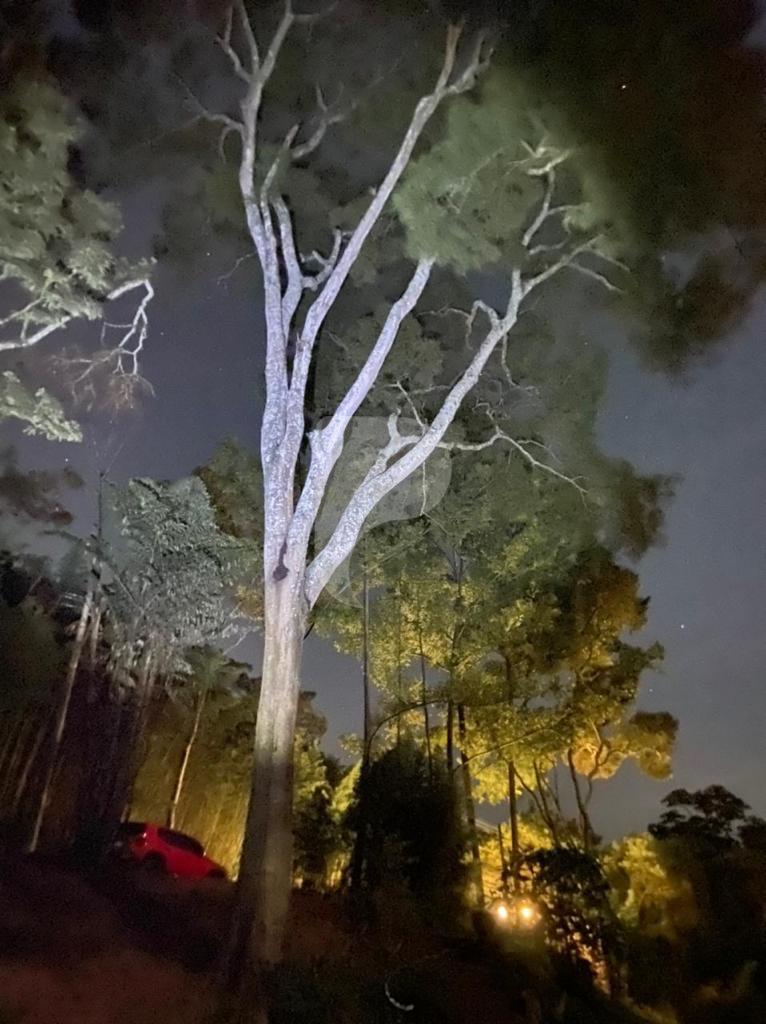 Terreno Residencial à venda em Itaipava, Petrópolis - RJ - Foto 25