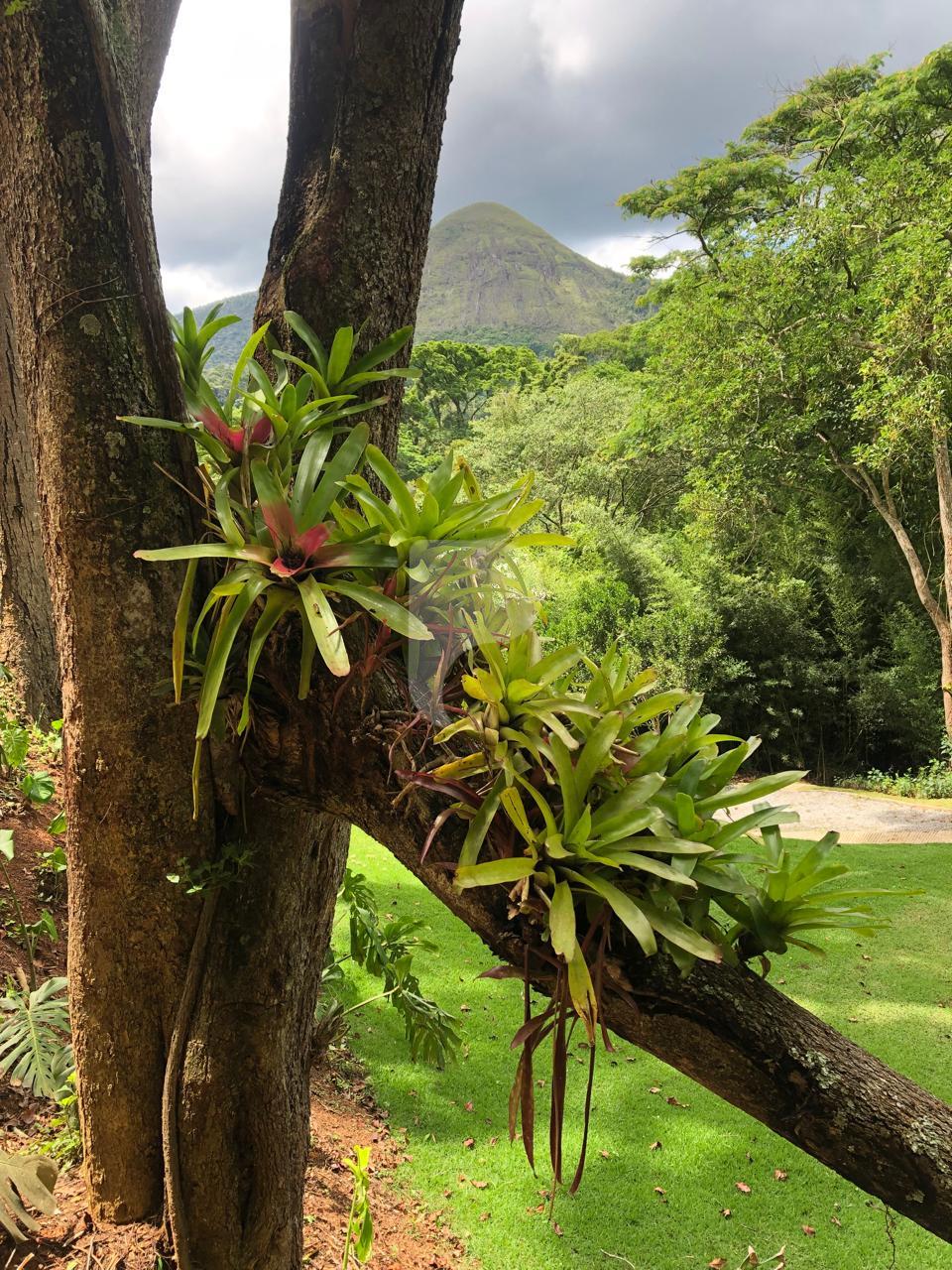 Terreno Residencial à venda em Itaipava, Petrópolis - RJ - Foto 26