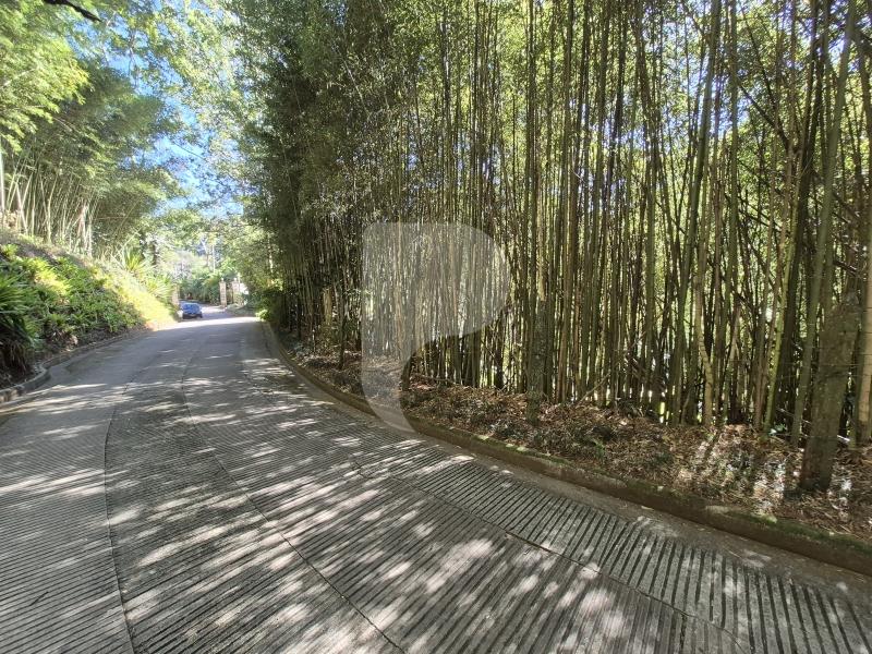 Terreno Residencial à venda em Itaipava, Petrópolis - RJ - Foto 30