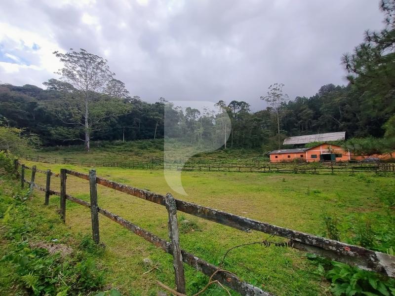 Terreno Residencial à venda em Fazenda Inglesa, Petrópolis - RJ - Foto 2