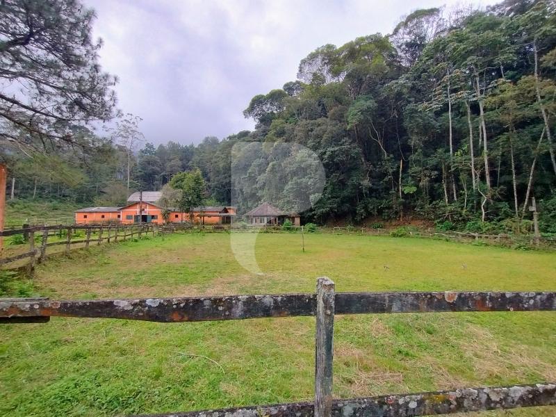 Terreno Residencial à venda em Fazenda Inglesa, Petrópolis - RJ - Foto 3