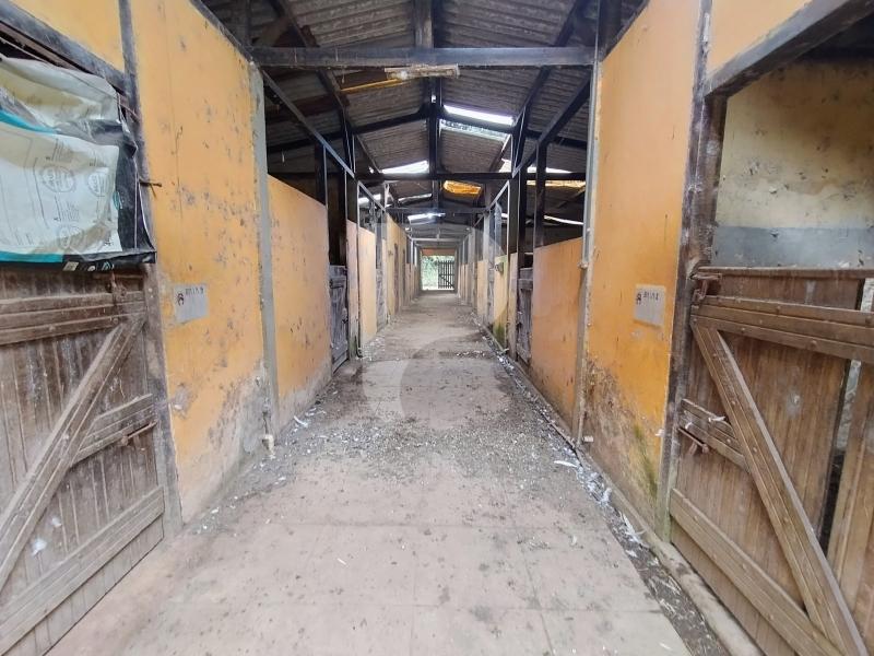 Terreno Residencial à venda em Fazenda Inglesa, Petrópolis - RJ - Foto 6