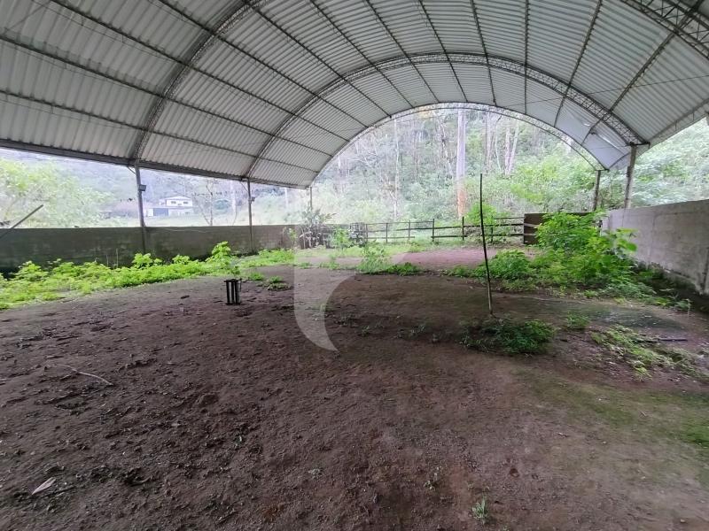 Terreno Residencial à venda em Fazenda Inglesa, Petrópolis - RJ - Foto 10