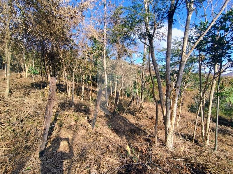 Terreno Residencial à venda em Pedro do Rio, Petrópolis - RJ - Foto 3