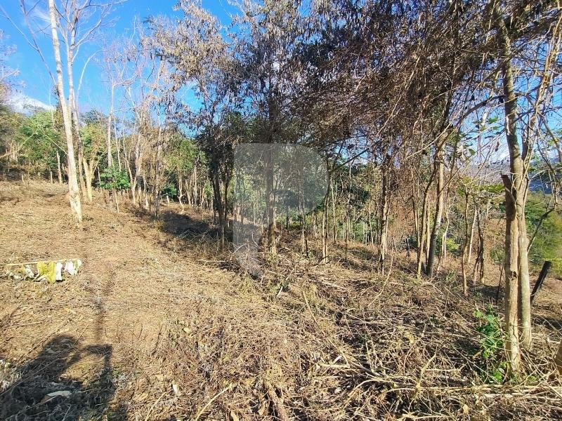 Terreno Residencial à venda em Pedro do Rio, Petrópolis - RJ - Foto 2