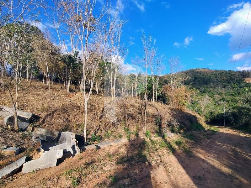Terreno Residencial à venda em Pedro do Rio, Petrópolis - RJ - Foto 6