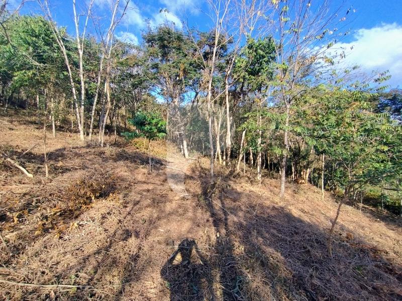 Terreno Residencial à venda em Pedro do Rio, Petrópolis - RJ - Foto 4