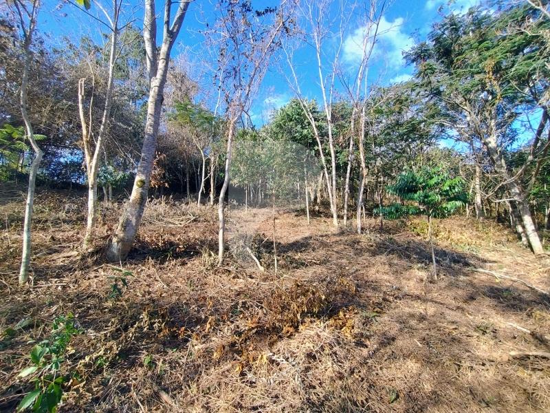 Terreno Residencial à venda em Pedro do Rio, Petrópolis - RJ - Foto 1