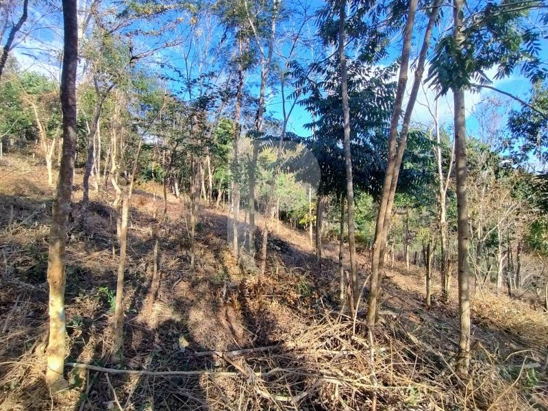 Terreno Residencial à venda em Pedro do Rio, Petrópolis - RJ - Foto 5