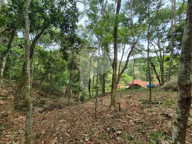 Terreno Residencial à venda em Itaipava, Petrópolis - RJ - Foto 5
