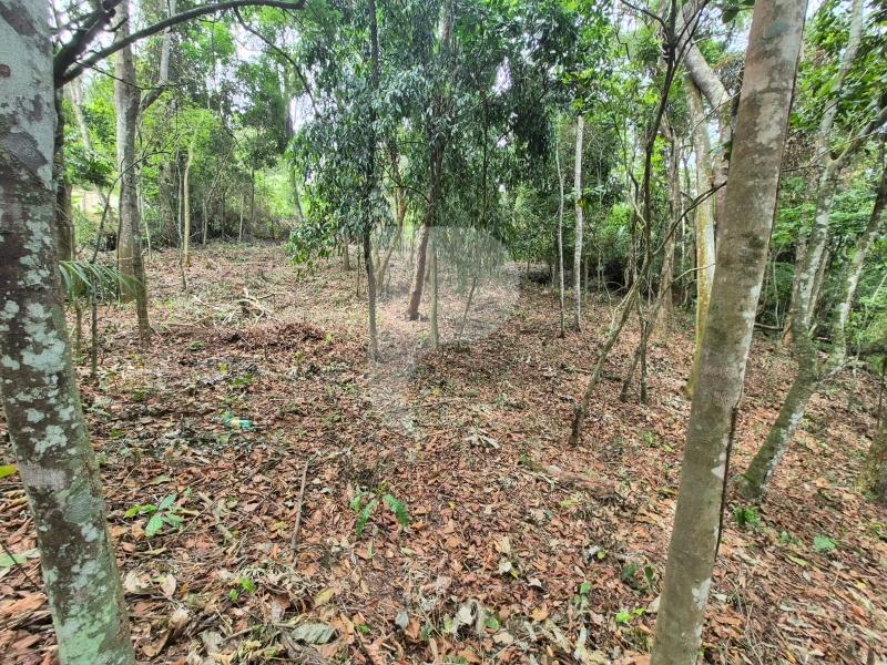 Terreno Residencial à venda em Itaipava, Petrópolis - RJ - Foto 6
