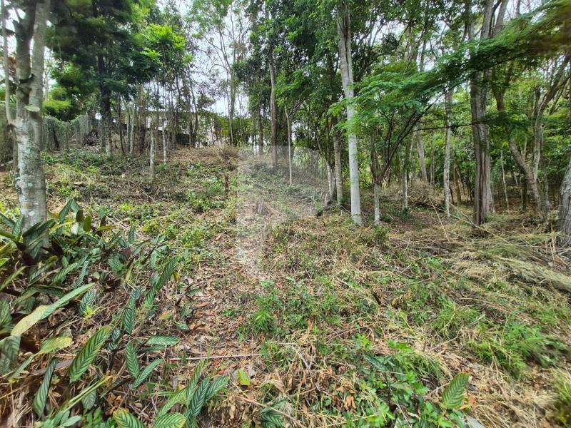 Terreno Residencial à venda em Itaipava, Petrópolis - RJ - Foto 7