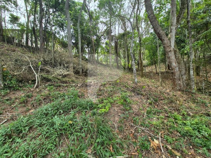 Terreno Residencial à venda em Itaipava, Petrópolis - RJ - Foto 8