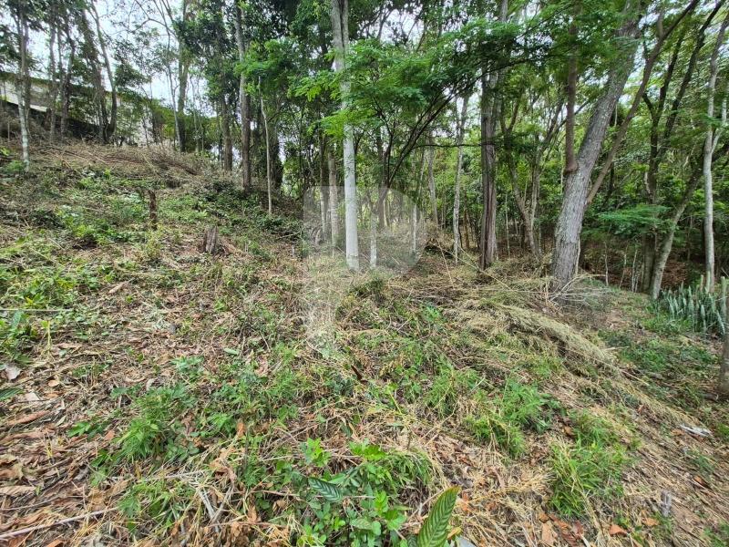 Terreno Residencial à venda em Itaipava, Petrópolis - RJ - Foto 9