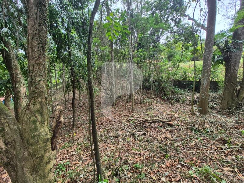 Terreno Residencial à venda em Itaipava, Petrópolis - RJ - Foto 10