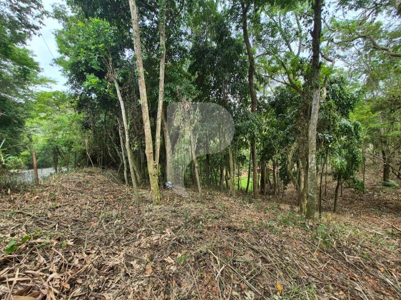 Terreno Residencial à venda em Itaipava, Petrópolis - RJ - Foto 11