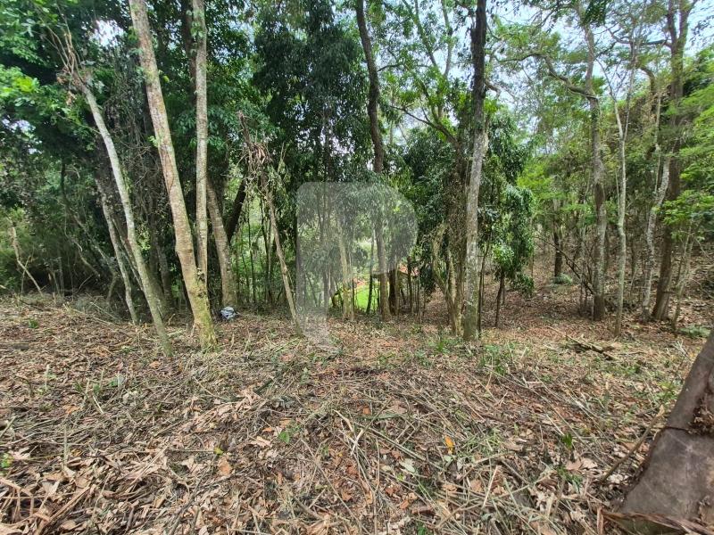 Terreno Residencial à venda em Itaipava, Petrópolis - RJ - Foto 12