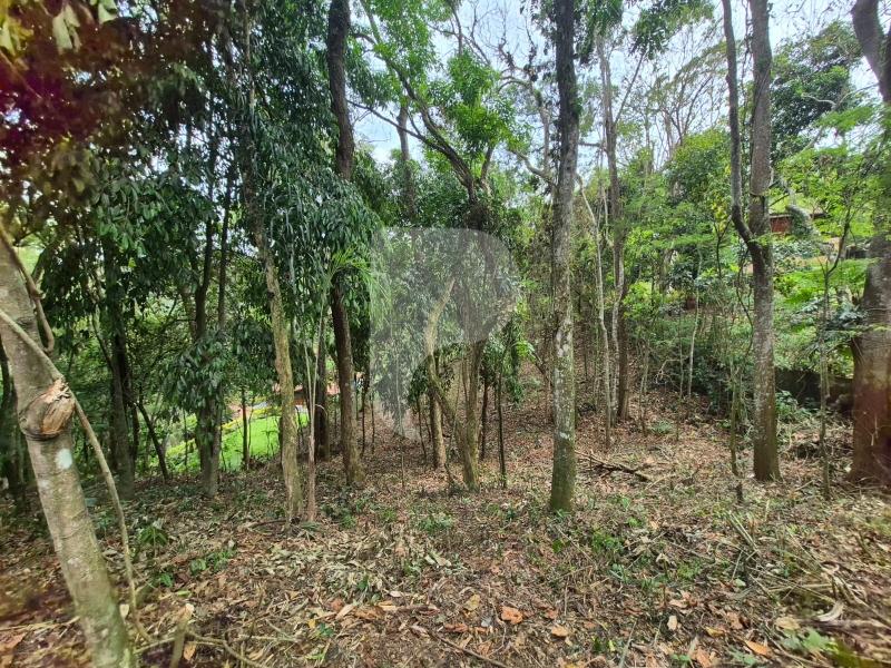 Terreno Residencial à venda em Itaipava, Petrópolis - RJ - Foto 13