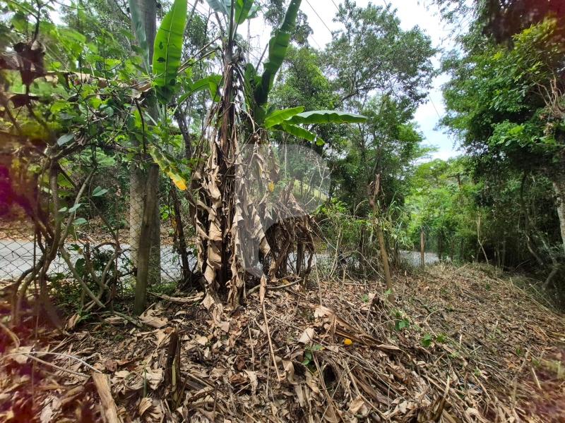 Terreno Residencial à venda em Itaipava, Petrópolis - RJ - Foto 14