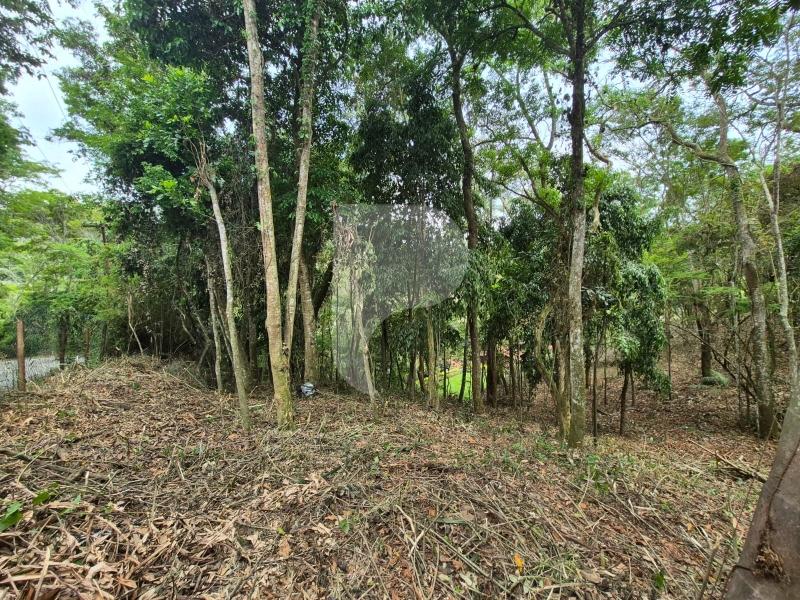 Terreno Residencial à venda em Itaipava, Petrópolis - RJ - Foto 15