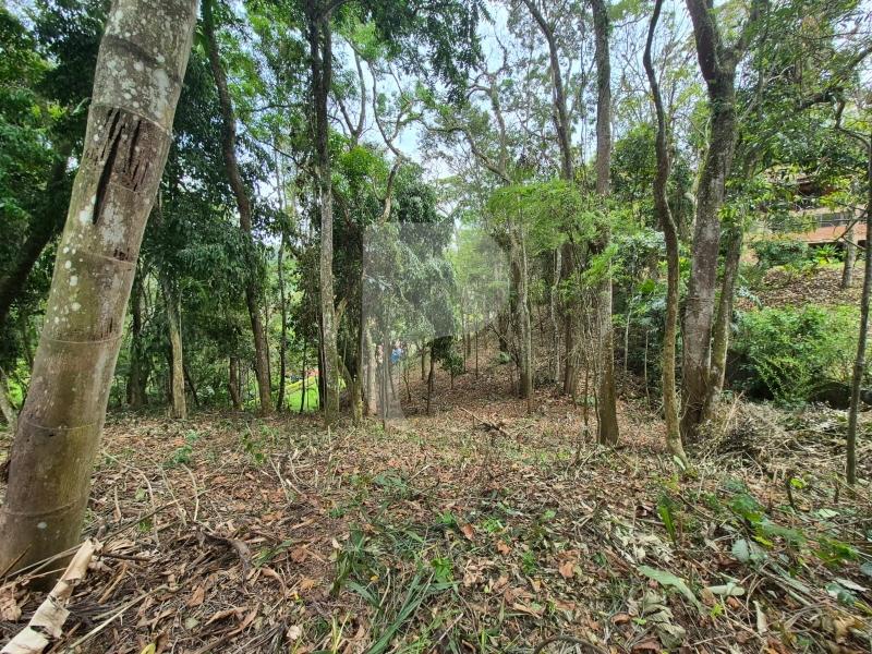 Terreno Residencial à venda em Itaipava, Petrópolis - RJ - Foto 16