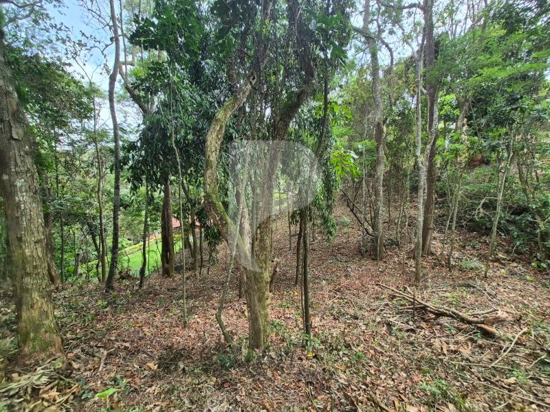 Terreno Residencial à venda em Itaipava, Petrópolis - RJ - Foto 17