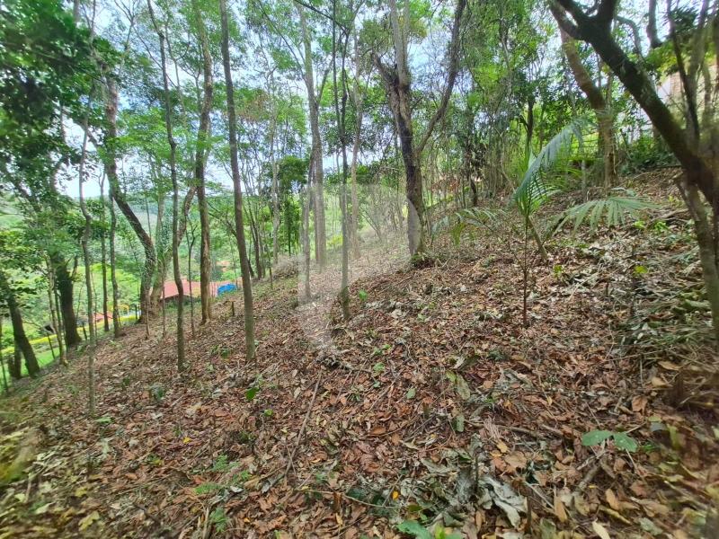 Terreno Residencial à venda em Itaipava, Petrópolis - RJ - Foto 18