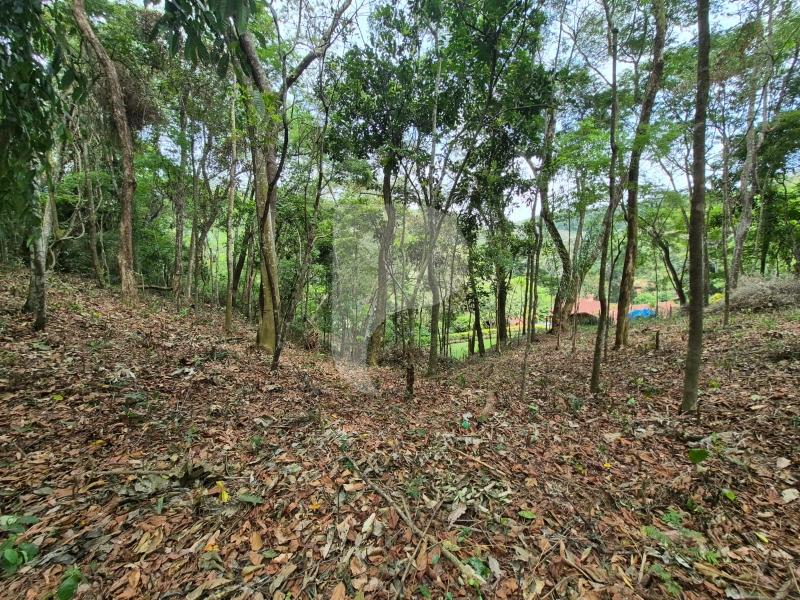 Terreno Residencial à venda em Itaipava, Petrópolis - RJ - Foto 19