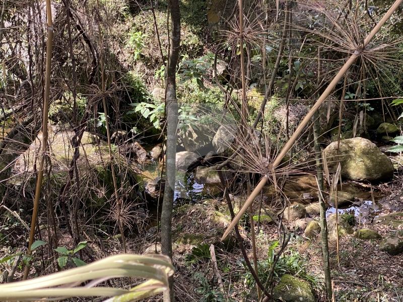 Casa à venda em Araras, Petrópolis - RJ - Foto 26