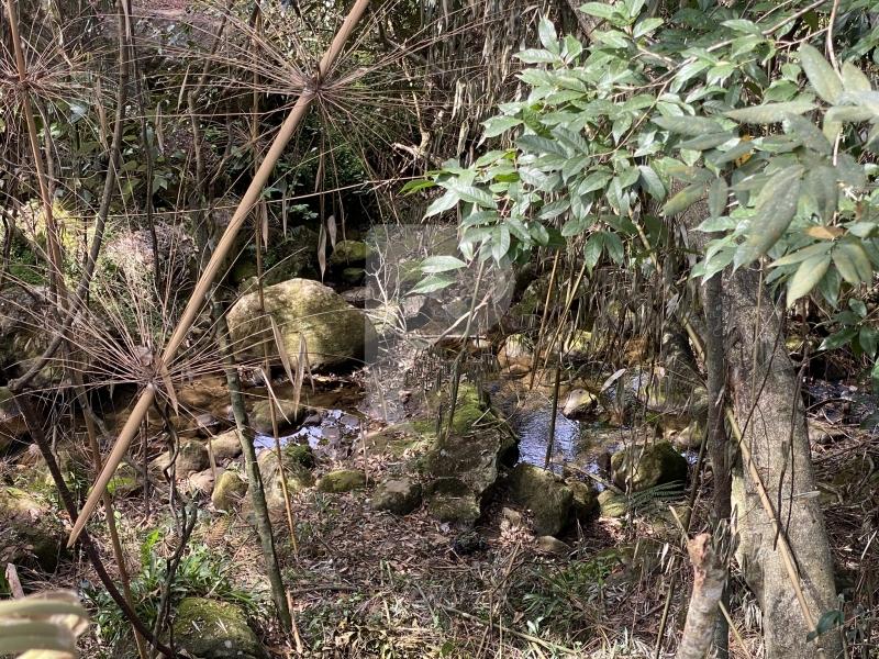 Casa à venda em Araras, Petrópolis - RJ - Foto 27