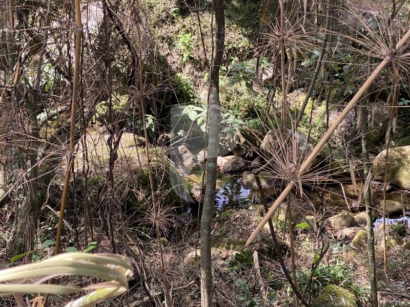 Casa à venda em Araras, Petrópolis - RJ - Foto 28