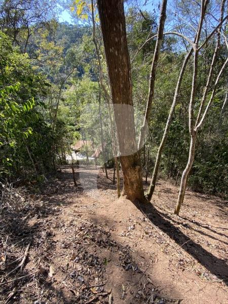Terreno Residencial à venda em Pedro do Rio, Petrópolis - RJ - Foto 2