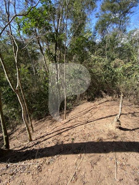 Terreno Residencial à venda em Pedro do Rio, Petrópolis - RJ - Foto 3
