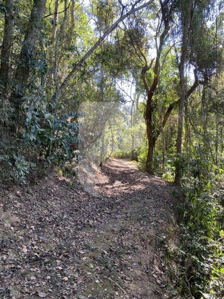 Terreno Residencial à venda em Pedro do Rio, Petrópolis - RJ - Foto 5