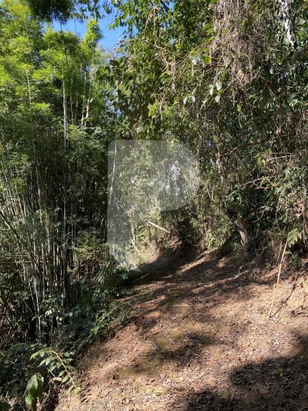 Terreno Residencial à venda em Pedro do Rio, Petrópolis - RJ - Foto 6