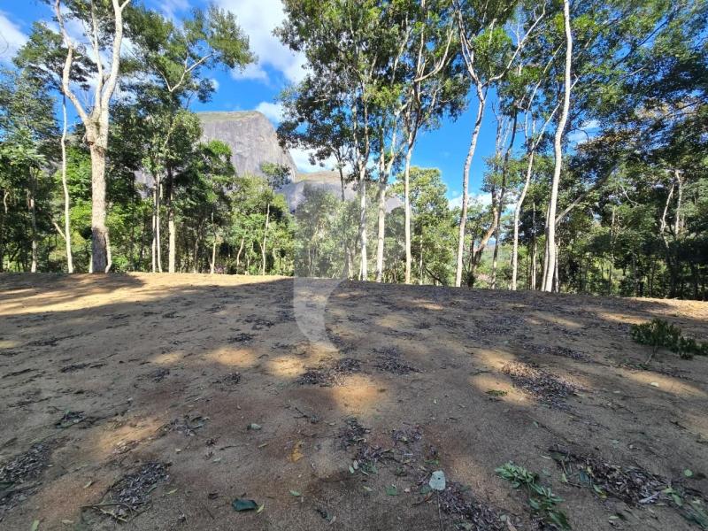 Terreno Residencial à venda em Itaipava, Petrópolis - RJ - Foto 4