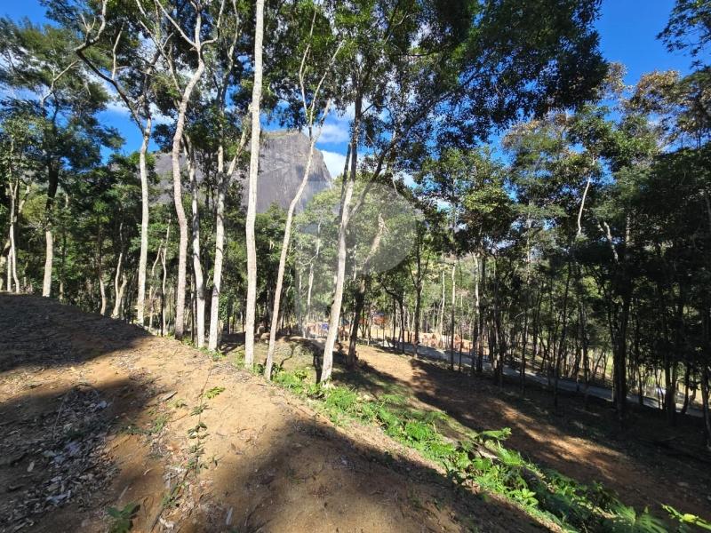 Terreno Residencial à venda em Itaipava, Petrópolis - RJ - Foto 6