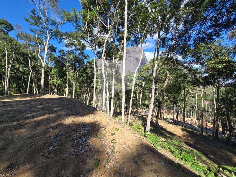 Terreno Residencial à venda em Itaipava, Petrópolis - RJ - Foto 8