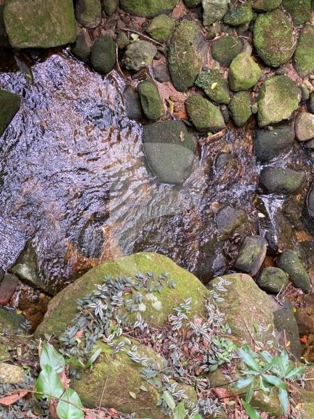 Casa para Alugar  à venda em Fazenda Inglesa, Petrópolis - RJ - Foto 12