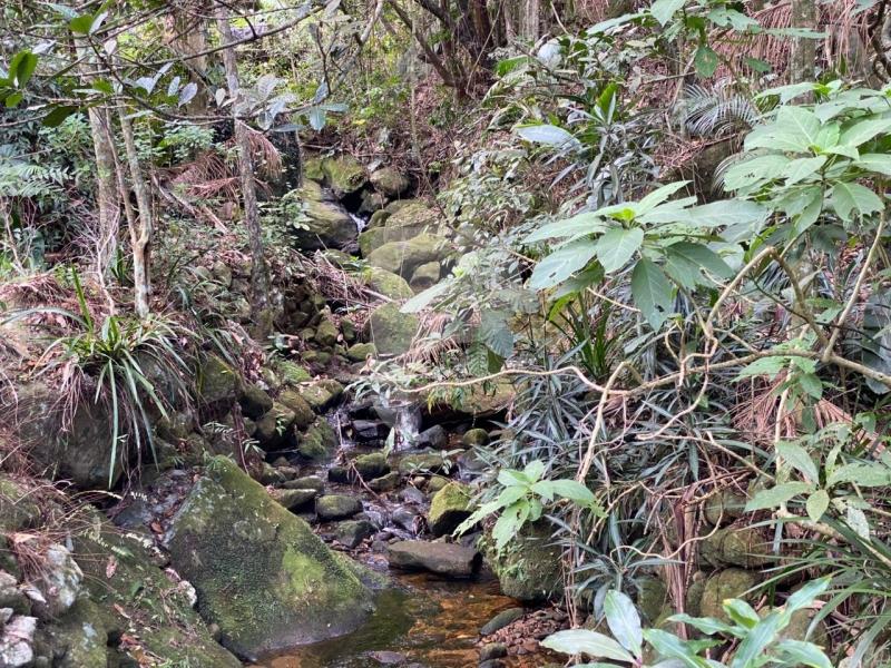 Casa para Alugar  à venda em Fazenda Inglesa, Petrópolis - RJ - Foto 13