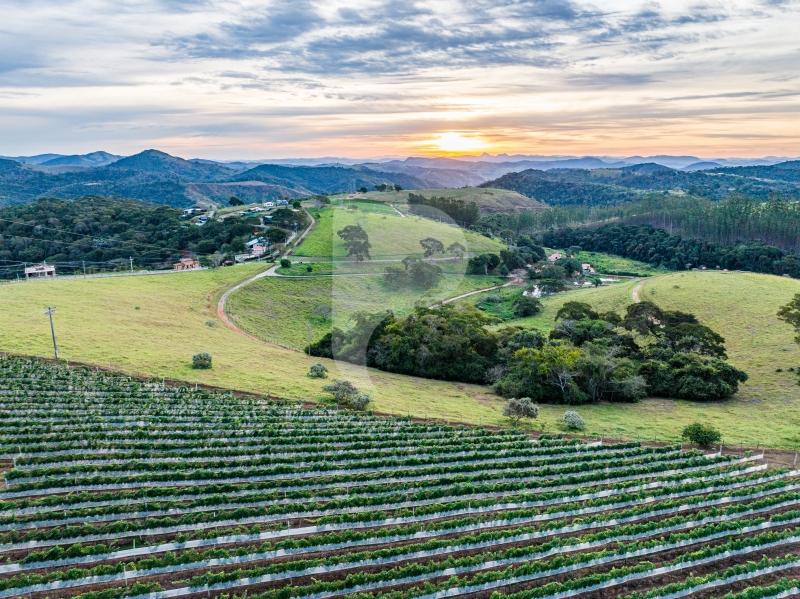 Terreno Residencial à venda em Centro, Areal - RJ - Foto 5